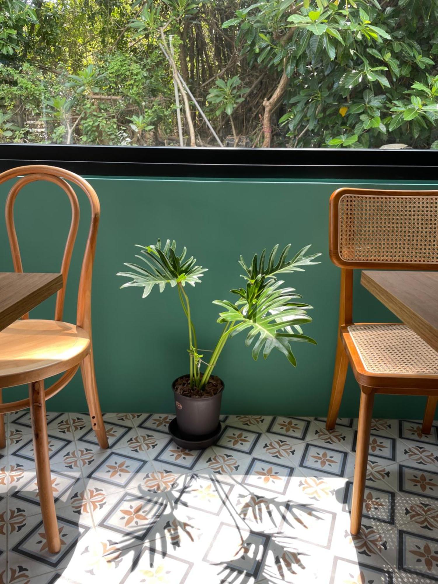 Lixia Hostel Xiaoliuqiu Dış mekan fotoğraf